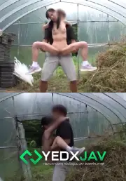 หนังโป๊ญี่ปุ่น แอบเสียวที่โรงเห็ด xxx นัดสาวเด็กในหมู่บ้านมาแอบเย็ดในโรงเห็นกลางป่าอย่างเสียว จับซอยหีแทบพังครางลั่นหน้าอย่างฟินไม่ไหวเสียวหีสุดใจร้องเสียงหลงอ้อนเย็ดมาก